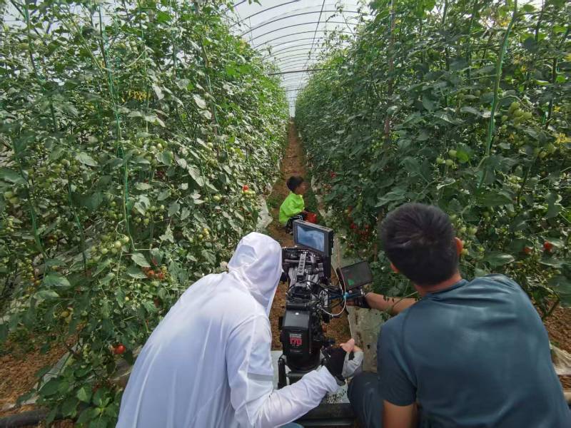 白碱滩区产品宣传视频拍摄公司进阶指南，助力品牌抢占传播高地